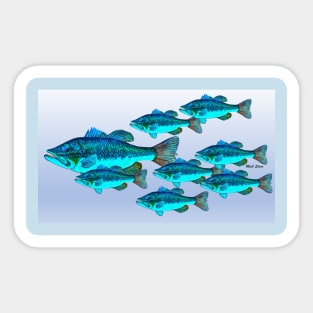 Largemouth bass school Sticker